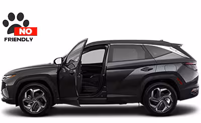 роскошный автомобиль