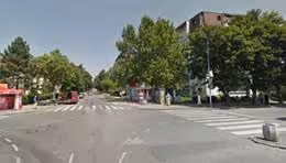 selidbe zemun polje